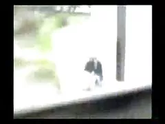 אקשן חזק בתחת עם סופיה לאונה היפה מ- פורנו לצפיה חינם Naughty America
